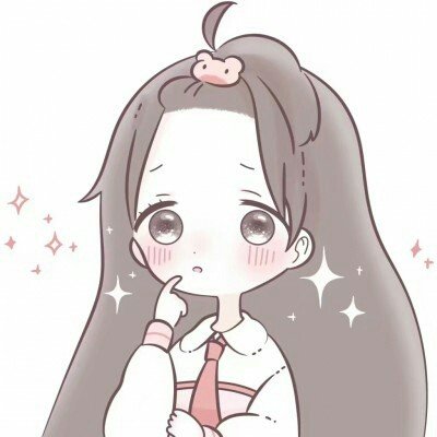 邱鼎杰小猫 寄养